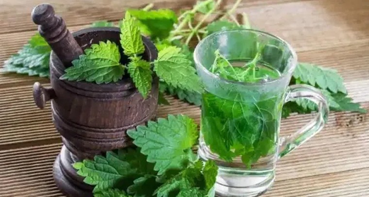 పుదీనా నీటితో ఈ సమస్యలకు చెక్
