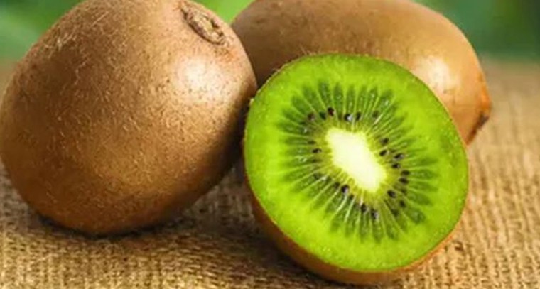 రోజుకు ఒక ‘కివి’ తింటే వ్యాధులు దూరం
