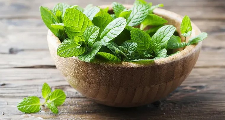 సంపూర్ణ ఆరోగ్యానికి చిట్టి చిట్కాలు
