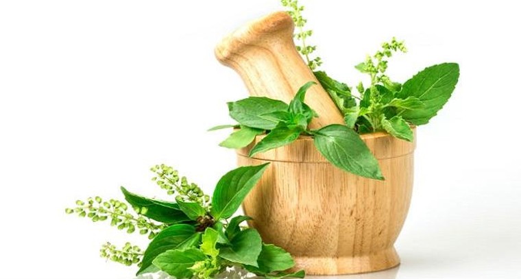 తులసి వల్ల కలిగే ప్రయోజనాలు