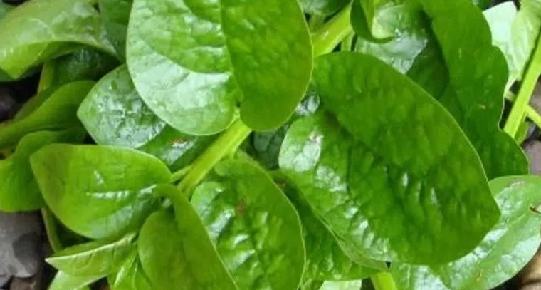 ఈ జాగ్రత్తలతో ముడతలకు చెక్ పెట్టండి
