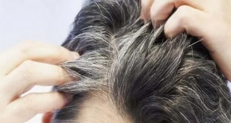 జుట్టు నెరిసిపోతుందా.. ఇది ట్రై చేయండి
