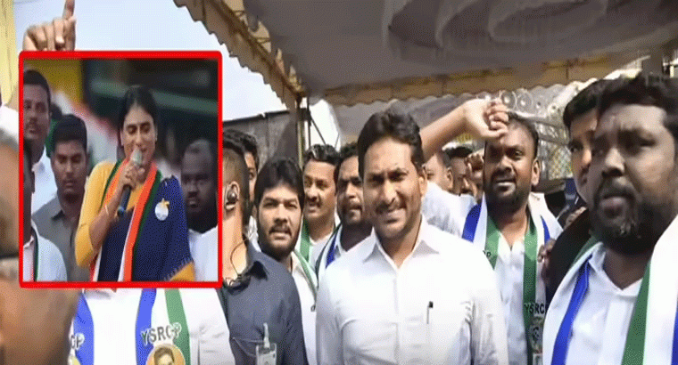 ఒక్క రోజు మురిపానికి వెళ్లారా అంటూ.. వైఎస్ జగన్‌పై షర్మిల సెటైర్లు