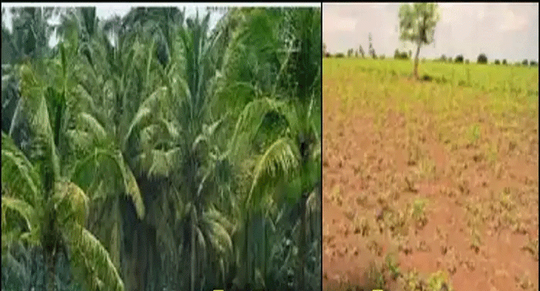జిల్లాల తలసరి ఆదాయంలో.. కరవు ప్రాంతమైన అనంతపురం ముందు