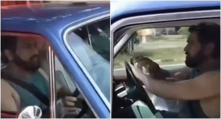 రాంచీ వీధుల్లో ధోనీ స్టయిల్.. వింటేజ్ రోల్స్ రాయిస్‌లో లెజెండ్ ఎంట్రీ!