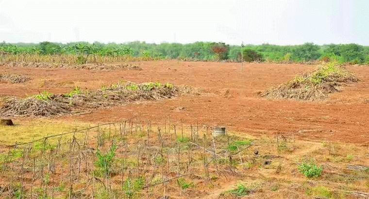 ఏపీలో భూముల మార్కెట్ విలువపై.. ప్రభుత్వం కీలక నిర్ణయం