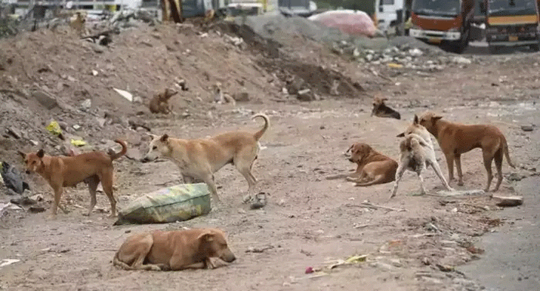 ప్రకాశవంతమైన చర్మం కోసం..బంగాళదుంప ఎంతో మేలు చేస్తుంది