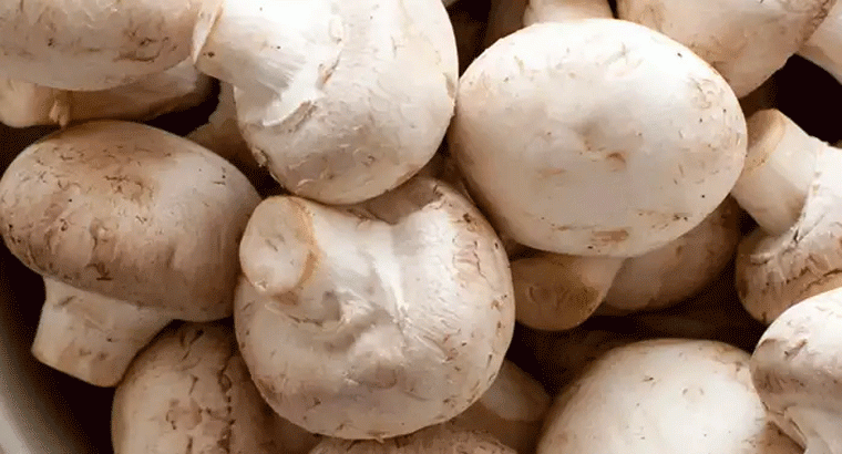 వీళ్లు పుట్టగొడుగులు ఎట్టి పరిస్థితుల్లో కూడా తినకూడదు