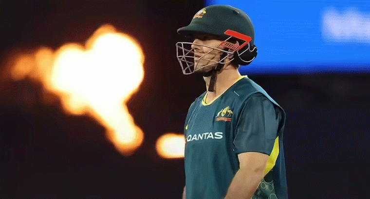 టీ20ల్లో కివీస్‌ను చిత్తుచిత్తుగా ఓడించిన ఆస్ట్రేలియా