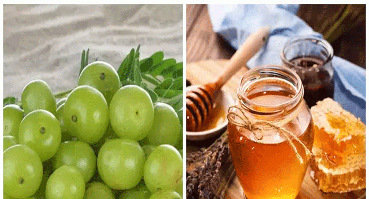 ఉసిరిని ఇలా తింటే గుండె సమస్యలు, కొలెస్ట్రాల్ తగ్గడమే కాదు.. ఈ లాభాలు కూడా