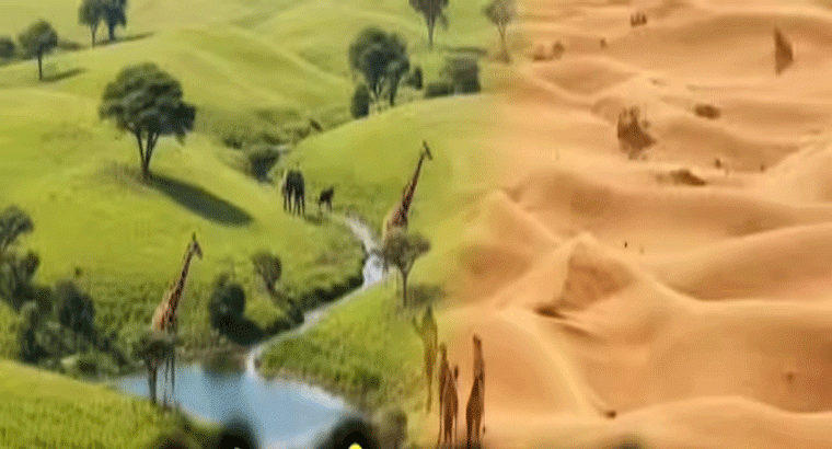 సౌదీ అరేబియా ఎడారి కాదు.... గ్రీన్ అరేబియా చరిత్ర బయటపెట్టిన శాస్త్రవేత్తలు