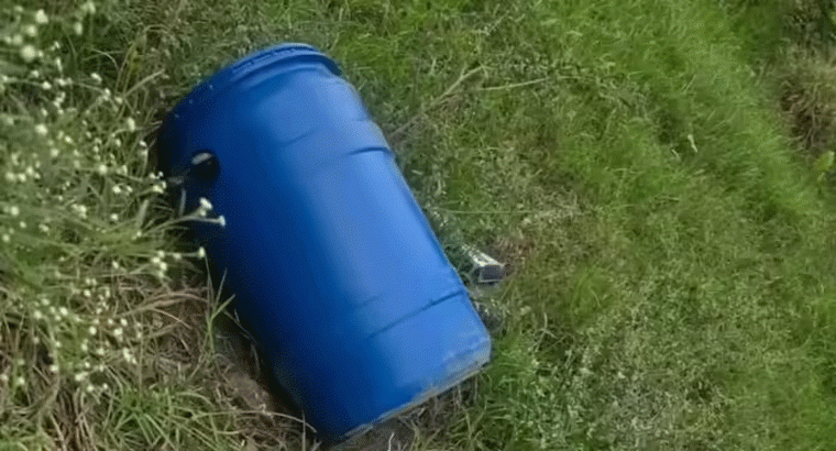 డ్రమ్ములో తల.. చెల్లాచెదురుగా శరీర భాగాలు.. పంజాబ్‌లో దారుణ హత్య