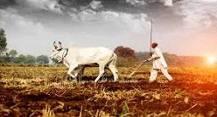 రూ.15 వేల పెట్టుబడికి 400 శాతం ఆదాయం