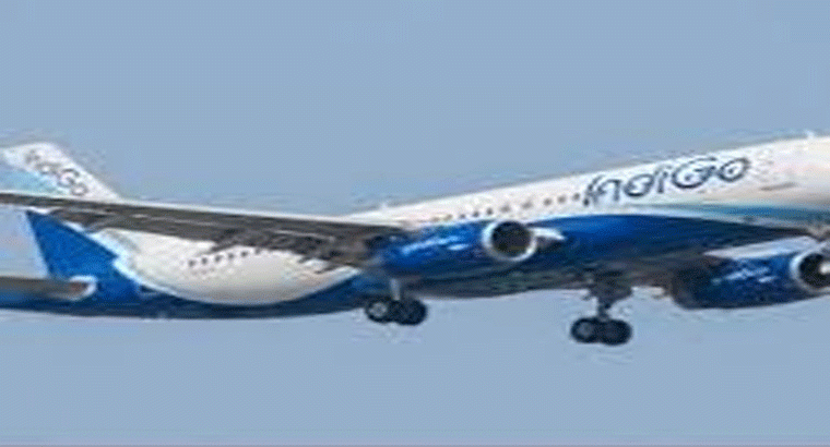 ఇండిగో స్పెషల్ సేల్.. తక్కువ ధరకే విమాన ప్రయాణం.. 10కేజీ లగేజీ ఫ్రీ