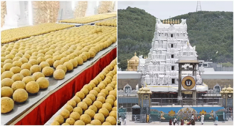 లడ్డూ తయారీకి నెయ్యి కొరత లేదు.. : టీటీడీ