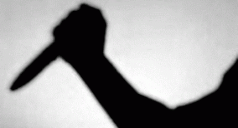 భోజన సమయంలో గొడవ.. అన్నా, వదినలను హతమార్చిన వ్యక్తి