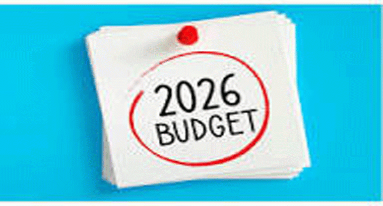 టాక్స్ రిబేట్ అంటే ఏంటి? టాక్స్ సున్నా ఎలా చేసుకోవచ్చు