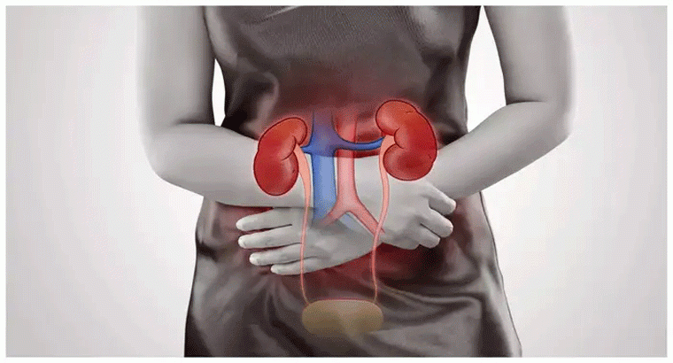 ఈ కారణాల వల్లే కిడ్నీలు ఫెయిల్,,,,, నిర్లక్ష్యం చేస్తే మాత్రం ప్రమాదమే