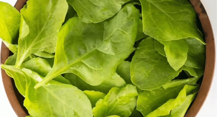 పాలకూర ఇంట్లో ఎలా పెంచుకోండి.... చాలా సింపుల్