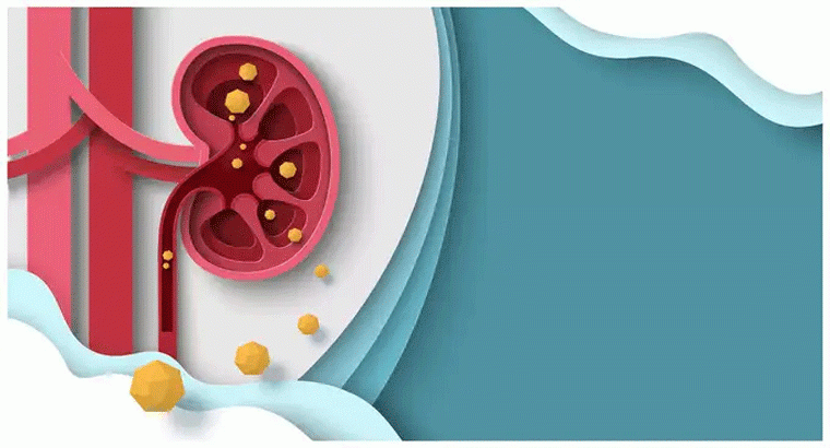 ట్రీట్‌మెంట్ లేకుండానే కిడ్నీల్లో రాళ్లు తగ్గాలంటే ఏం చేయా