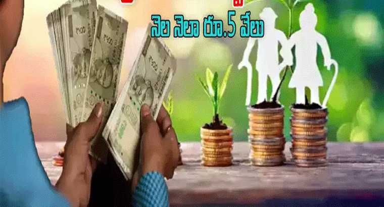  నెలకు రూ.5 వేల పెన్షన్.. కేంద్రం నుంచి 4 గొప్ప పథకాలు.. అర్హతలు సహా వివరాలివే