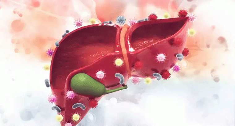 లివర్‌లో టాక్సిన్లు, మురికి పేరుకుపోతే...కనిపించే లక్షణాలు ఇవే