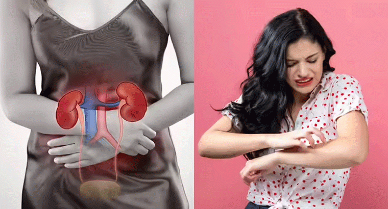 మీ కిడ్నీ ట్రబుల్ ఇచ్చినప్పుడు చర్మంపై ఎలాంటి మార్పులు కనిపిస్తాయో తెలుసా?