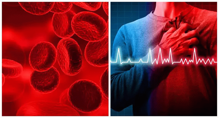 రక్తాన్ని పల్చగా చేయడమే కాకుండా స్ట్రోక్, గుండె సమస్యల్ని దూరం చేస్తాయి