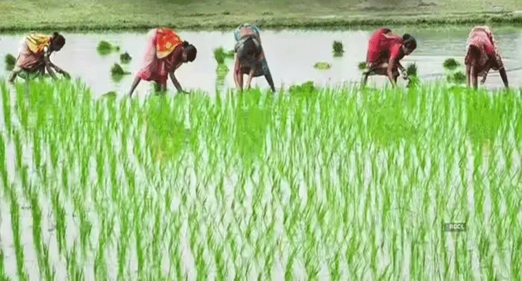 ఏపీ రైతులకు తీపికబురు.. అకౌంట్లోకి రూ.6000 అప్పుడే