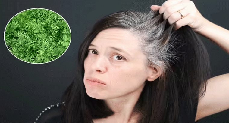 ఆకుకూర ఎలా తీసుకుంటేవైట్ హెయిర్ తగ్గి వెంట్రుకలు ఒత్తుగా పెరుగుతాయంటే