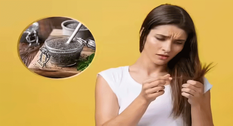 పల్చగా ఉన్న జుట్టు ఒత్తుగా పెరిగేందుకు చియా సీడ్స్