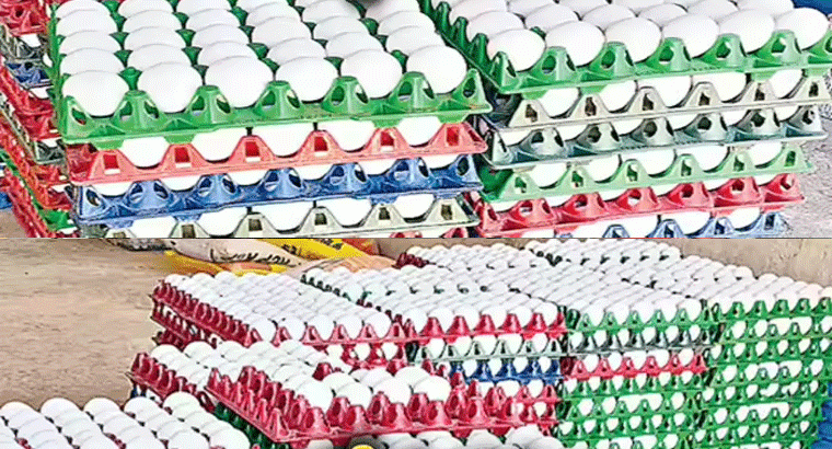 దిగి వచ్చిన కోడి గుడ్డు ధర.. మళ్లీ పాత ధరలు