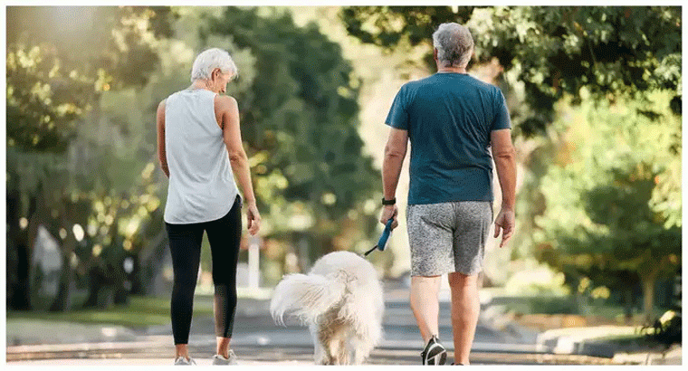 సమ్మర్ అన చూడకుండా సాయంత్రమే ఎందుకు నడుస్తారు
