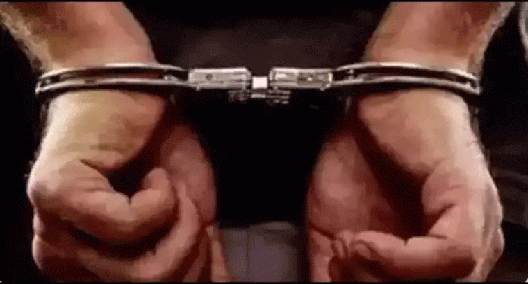 ఈ ఎండిన పండును నెయ్యిలో వేయించి తింటే మీ పొట్టలోని చెడు అంతా క్లీన్.. ఈ సమస్యలు కూడా దూరం.