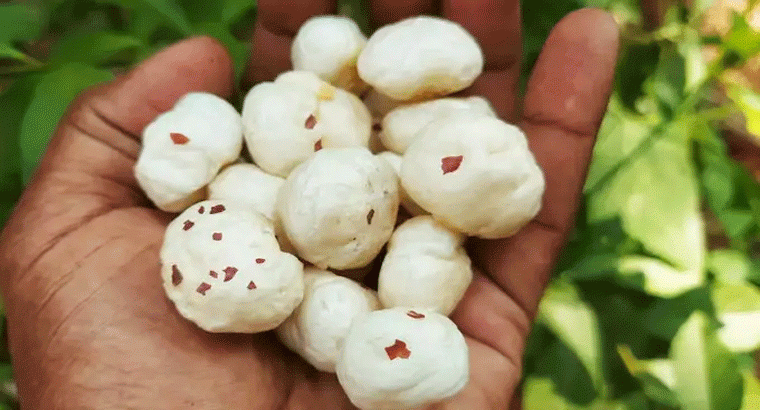 మఖానా ఎట్టి పరిస్థితుల్లో వీరు తినకూడదు