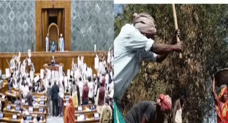 హిందీ పేర్ల విషయంలో ఉత్తరాది, దక్షిణాది మధ్య విభజన