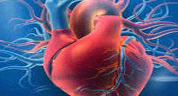 గుండె సమస్యల్ని దూరం చేసే ఫుడ్స్, రెగ్యులర్‌గా తింటే గుండెకి మంచిదట