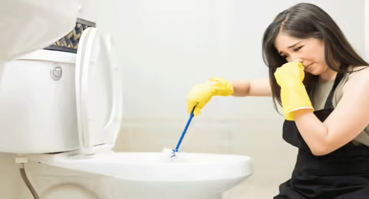 ఎంత నీట్‌గా క్లీన్ చేసినా బాత్‌రూమ్ నుంచి వాసన వస్తోందా