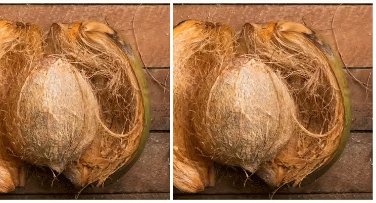 కొబ్బరికాయ కొట్టి పీచుని రూమ్‌ఫ్రెషనర్‌గా, దోమల్ని తరిమేందుకు​కూడావాడొచ్చు