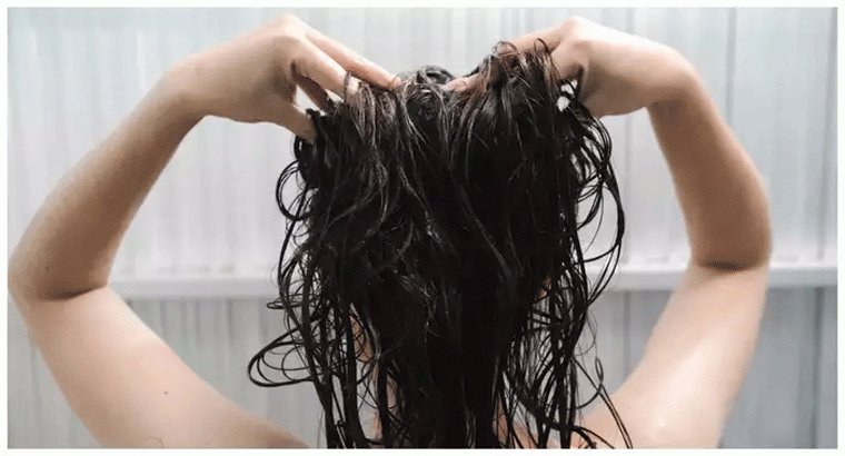 ఆ షాంపూ పౌడర్‌తో జుట్టు రాలడం తగ్గడమే కాదు, సిల్కీగా మారుతుంది