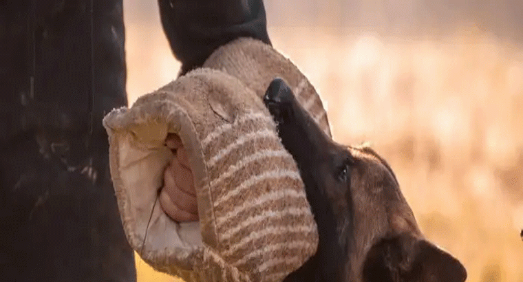 ఏ వయసు వారు ఎంత బరువు ఉండాలో తెలుసా