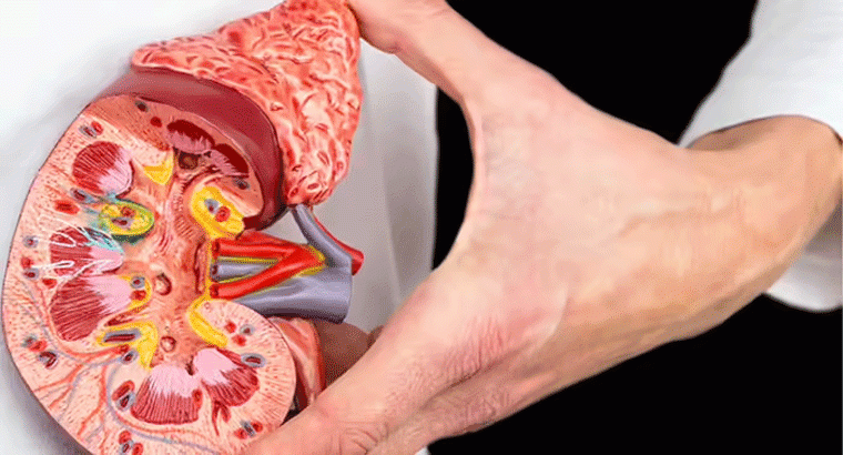 కిడ్నీలు పాడైపోయినప్పుడు కనిపించే 6 లక్షణాలు