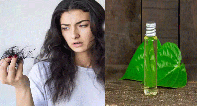 జుట్టు విపరీతంగా రాలిపోతుందా? తమలపాకుల్ని ఇలా వాడితే