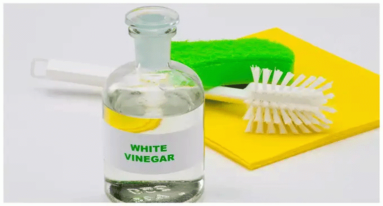 మీ పాత బకెట్, మగ్ ను ఇలా క్లీన్ చేస్తే కొత్తవాటిలా మెరుస్తాయ్