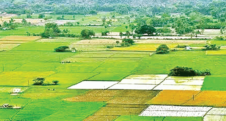 భూ యజమానుల ఆనందం.. 22 ఏళ్ల నుంచి పెండింగ్‌లో ఉన్న భూములకు విముక్తి