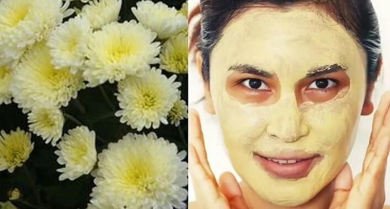 చర్మ సౌందర్యానికి చామంతి.. మచ్చలు, మొటిమలకు చెక్!

