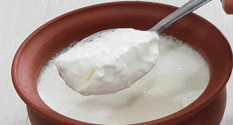 ఆరోగ్యానికి పెరుగే మహా ఔషధం: రోజూ పెరుగు తినడం వల్ల కలిగే లాభాలు!

