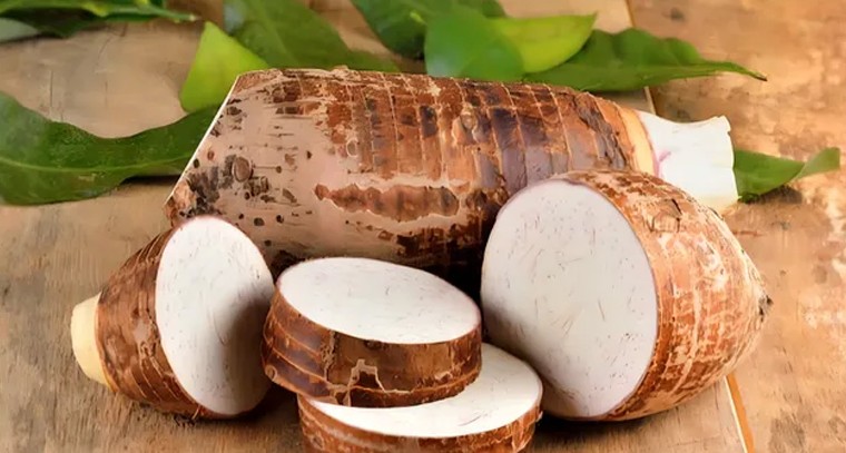 చామగడ్డలు.. ఆరోగ్యానికి అమృత భాండం

