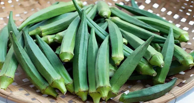 బెండకాయలు.. మెదడుకు మేలు, గణితంలో మెరుగు?

