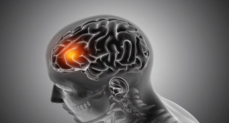 మెదడు శక్తి పెంచాలంటే కుడి, ఎడమ గుణాల సమతౌల్యం ఎందుకు అవసరం?